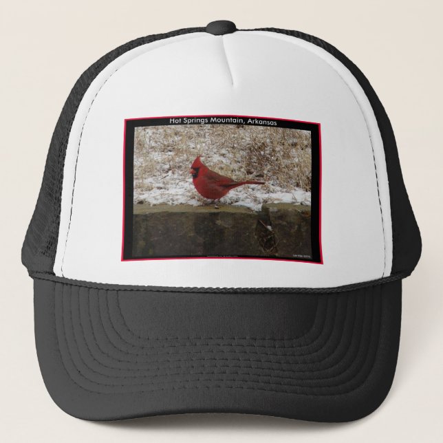 Boné Presentes Cardinal Hot Springs Nat. Park Mountain  (Frente)