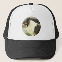 Boné Presentes de Collie Rough Rough Blue