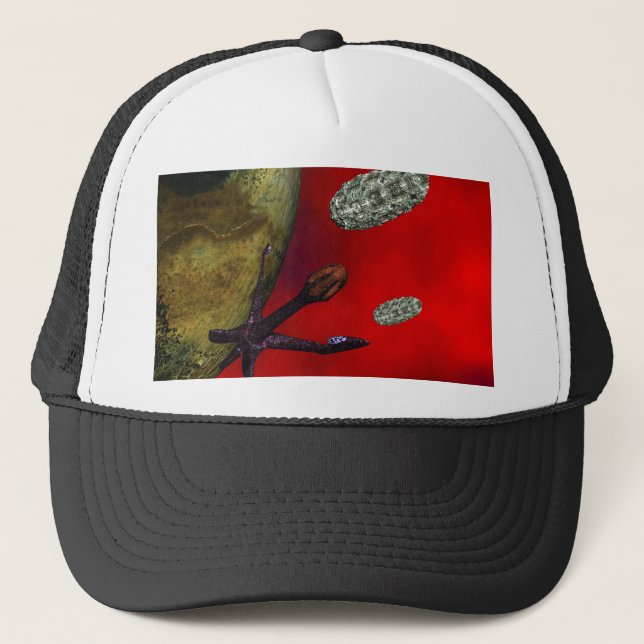 Boné primeiro contato (Frente)