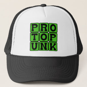 Boné Protopunk, Gênero Musical