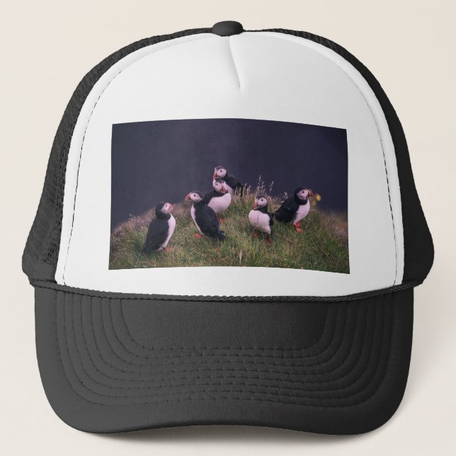 Boné Puffins Atlântico (Frente)
