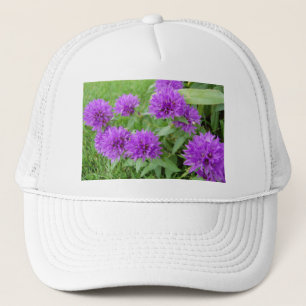 Boné purple flowers