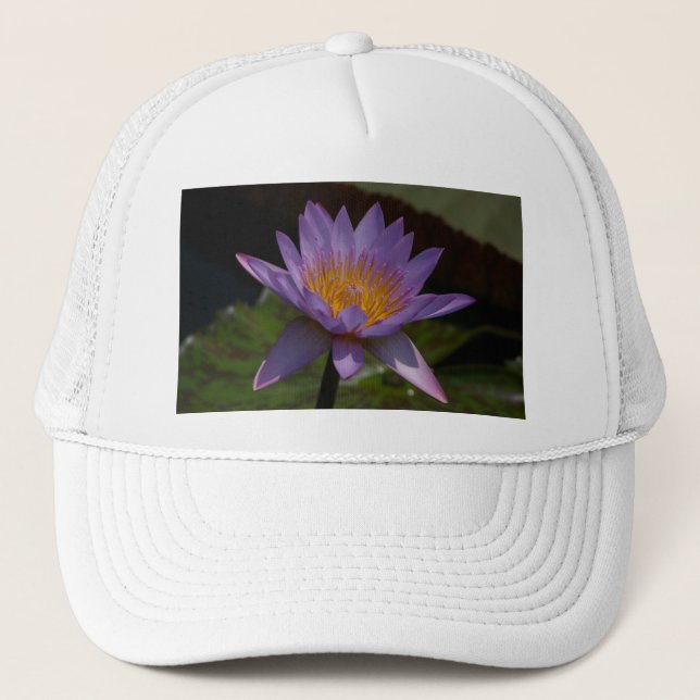 Boné Purple Lotus Waterlily Hat (Frente)