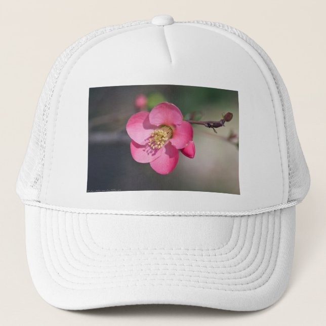 Boné Quince Rosa Perfeito em Flor (Frente)