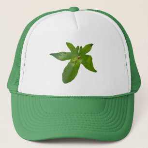 Boné Rã de Folha de Uva Verde, Chapéu de Caminhoneiro