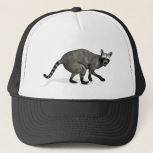 Boné Raccoon surpreso