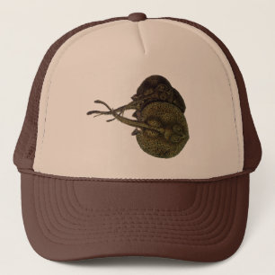 Boné Raios-Cama Vintage Rays Stingrays, Animais da Vida