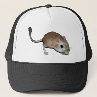 Boné Rato de canguru