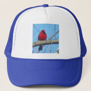 Boné Red Cardinal/Bird