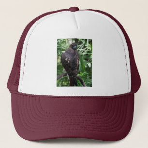 Boné Red Tail Hawk Bird