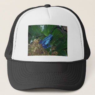 Boné Retrato azul do sapo da seta do veneno