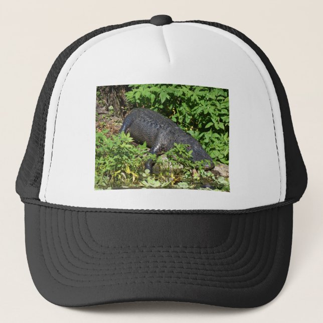 Boné Rio Alligator Silver (Frente)