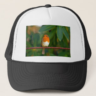 Boné Robin Natal