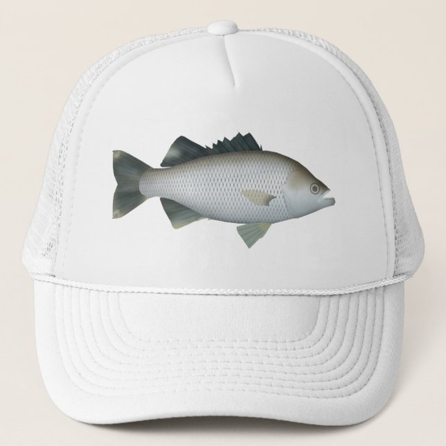 Boné Rock Flagtail (Frente)