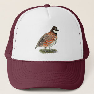 Boné Rooster Bobwhite Quail