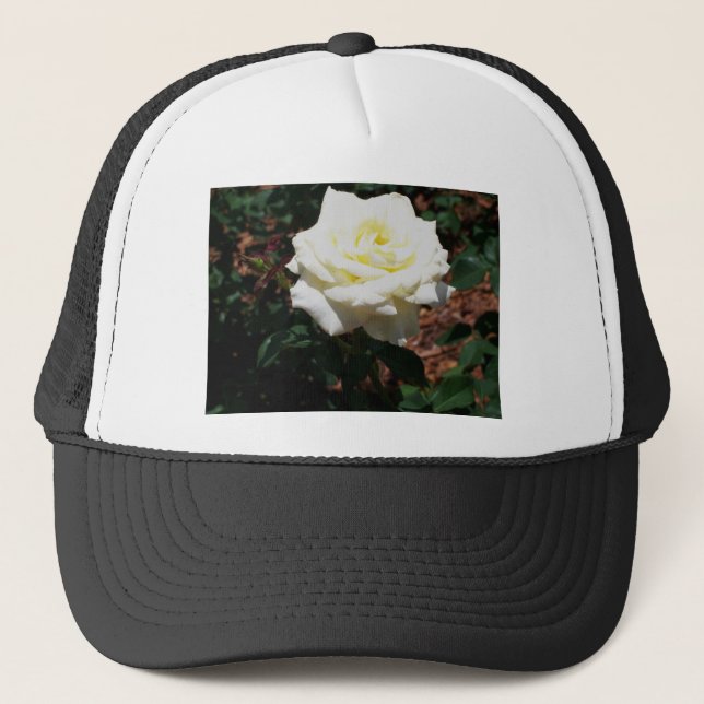 Boné Rosa Amarela Pálida (Frente)