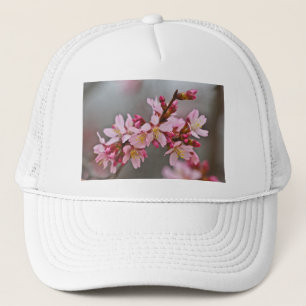 Boné Rosa Contra Um Céu Cinza Flor de Cerejeira Japones