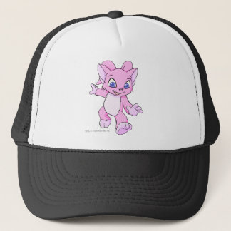 Boné Rosa de Acara