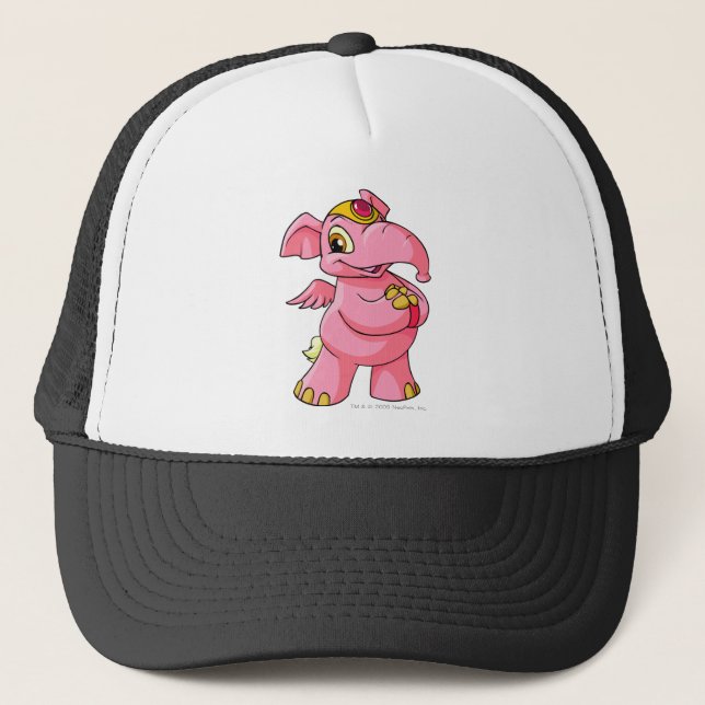 Boné Rosa de Elephante (Frente)