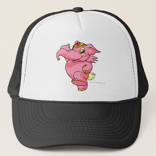 Boné Rosa de Elephante (Frente)