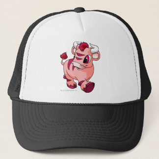 Boné Rosa dos Kau