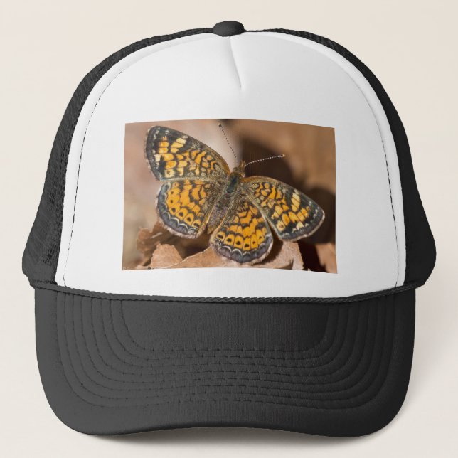 Boné Roupas e Presentes de Mariposa Marrom e Laranja (Frente)