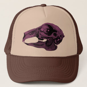 Boné Roxo anatômico do crânio do coelho