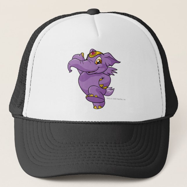 Boné Roxo de Elephante (Frente)