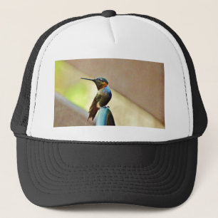 Boné Rubi empoleirado e colibri pequeno verde