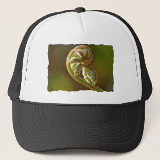 Boné Samambaia de Fiddlehead