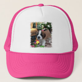 Boné Santo Bernard Art Gifts