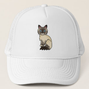 Boné Seal Point Tabby Birman / Ragdoll Cat
