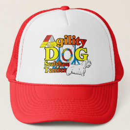 Boné Sealyham_Terrier_Agilidade