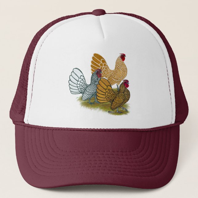 Boné Sebright Rooster Assorment (Frente)