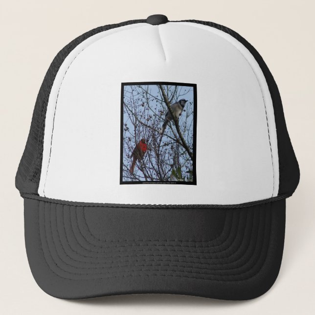 Boné Sentinelas Blue Jay e Cardinal por Lee Hiller (Frente)