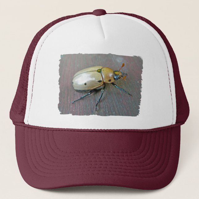 Boné Série Grapevine Beetle (Pelidnota punctata) (Frente)