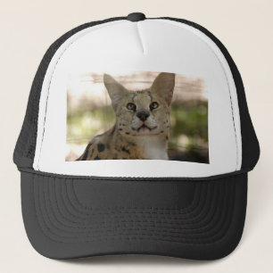 Boné serval 017