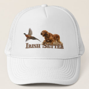 Boné Setter Irlandês