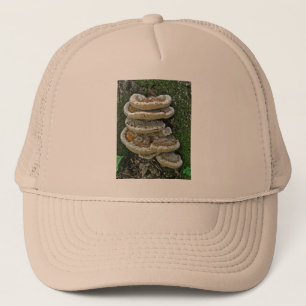Boné Shelf Fungi em Stump