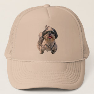 Boné Shih Tzu