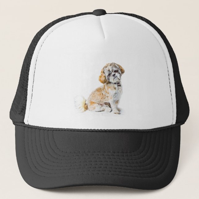 Boné Shih Tzu Dog Hat (Frente)