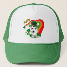 Siberian Husky Rua Patrick