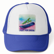 Snowboard rezando mantis rezando por inseto de nev