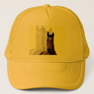 Boné Sombras de Cavalo Castanho,