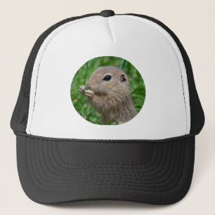 Boné Spermophilus citellus