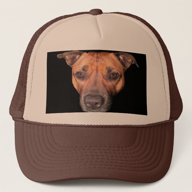 Boné Staffordshire Bull Terrier Face, (Frente)