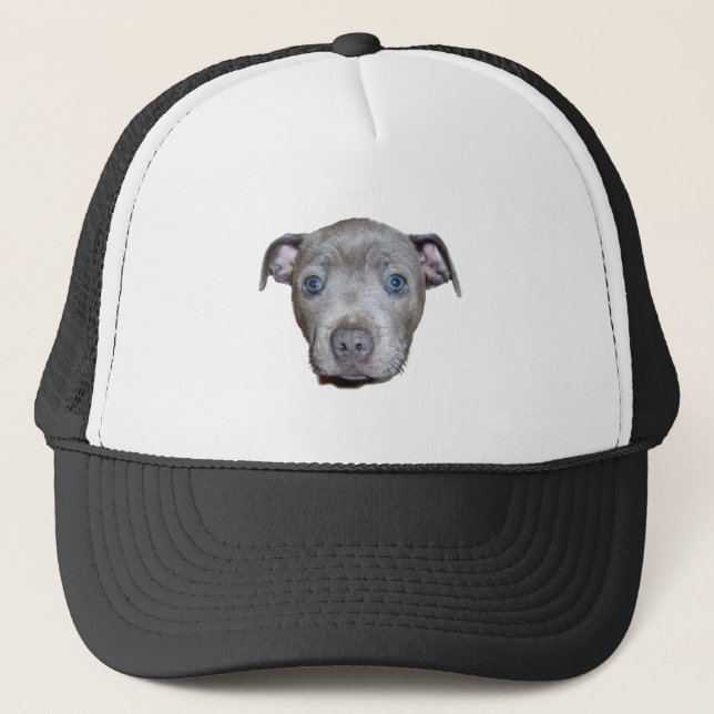 Boné Staffordshire Bull Terrier Puppy Face, (Frente)