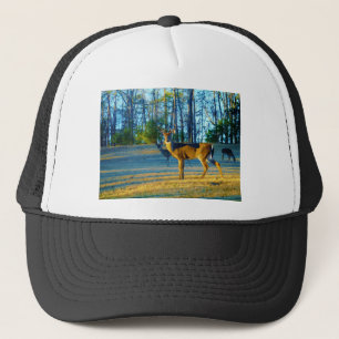 Boné Stag / Buck Deer, azul brilhante Céu