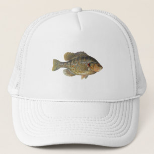 Boné Sunfish de Redear - Shellcracker