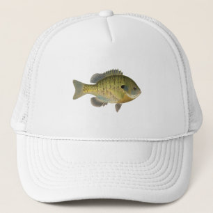 Boné Sunfish do Bluegill - brema